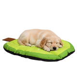 Lila-Fruit Chill Pad