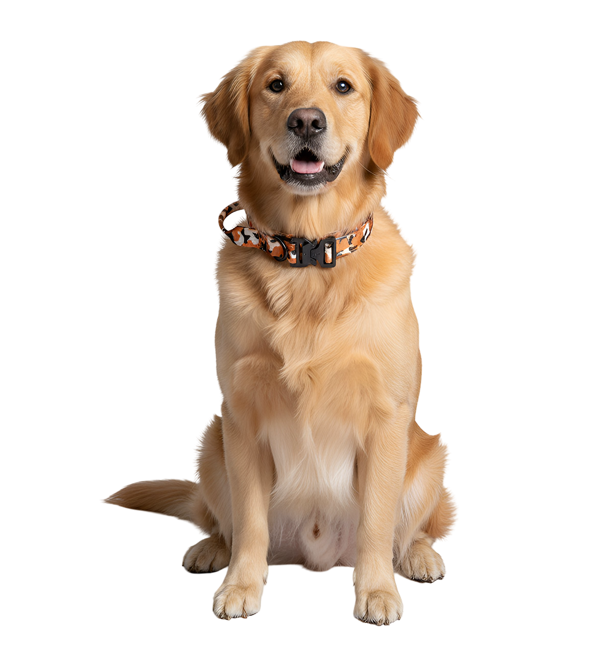 Suki-Safari Style Collar