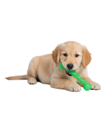 Zoe-Tug Twist Toy