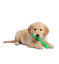 Zoe-Tug Twist Toy