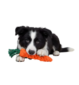 Lila-Carrot Rope Toy