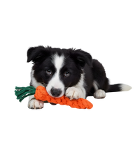 Lila-Carrot Rope Toy