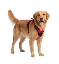 Rocky-Active Harness