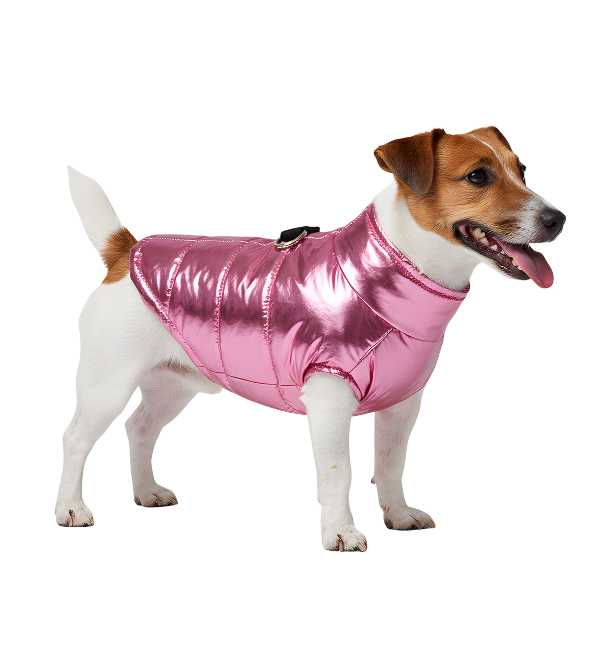 Luna-Shiny Pet Jacket