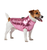Luna-Shiny Pet Jacket
