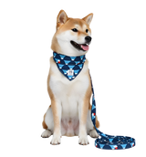 Niko-Cool Pup Scarf