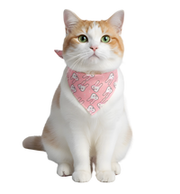 Benny-Hop Print Scarf