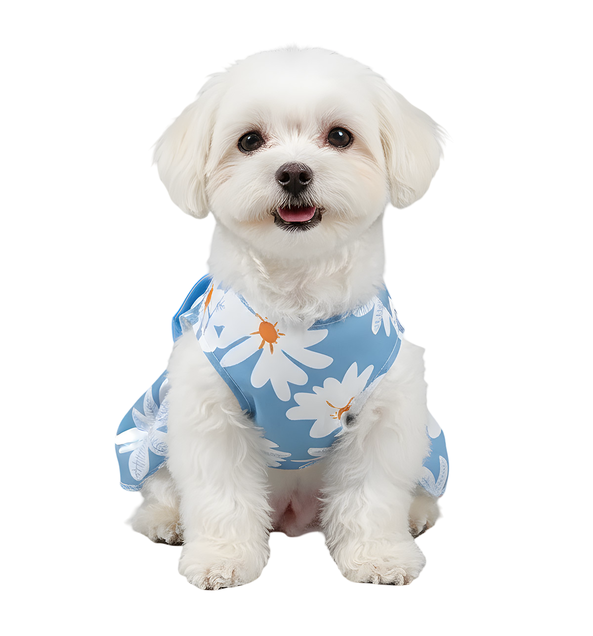 Lila-Daisy Pet Dress
