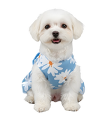 Lila-Daisy Pet Dress