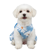 Lila-Daisy Pet Dress
