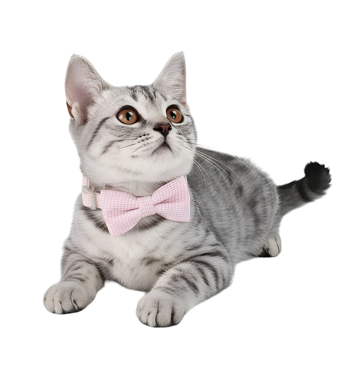 Ella-Gingham Cat Tie
