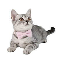 Ella-Gingham Cat Tie