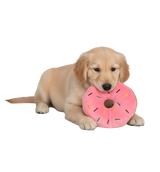 Lia-Donut Chew Toy