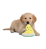Lina-Melon Dog Toy