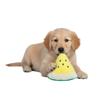 Lina-Melon Dog Toy