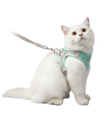 Luna-Mint Harness