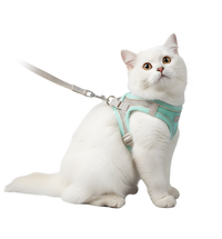 Luna-Mint Harness