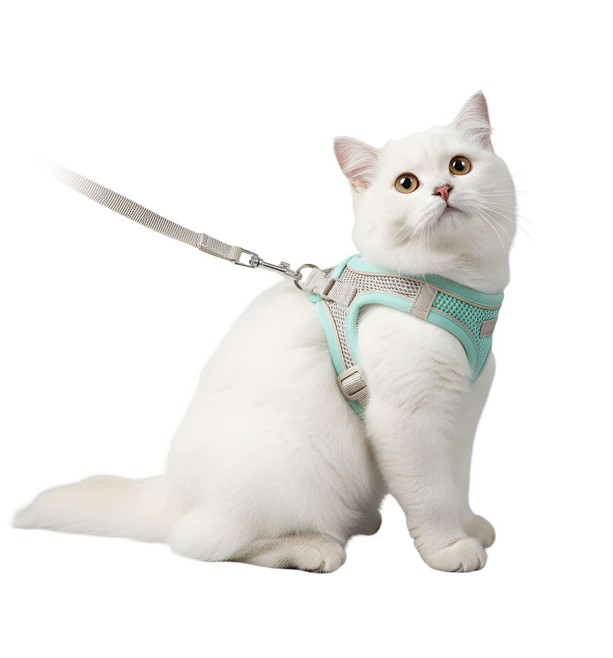 Luna-Mint Harness