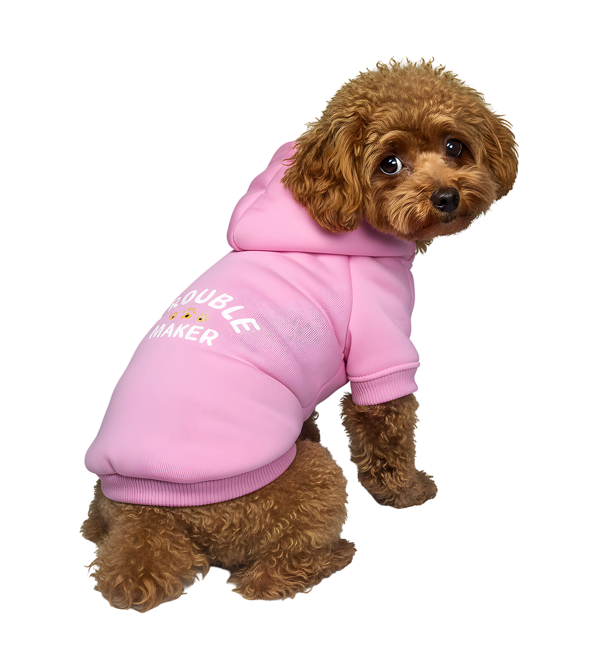 Taffy-Trouble Hoodie