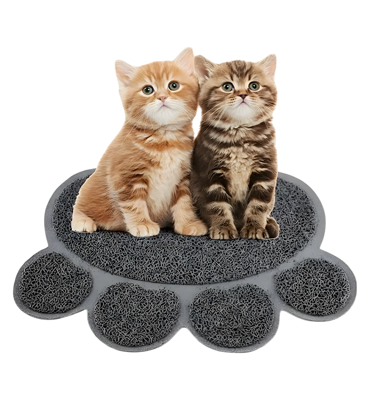 Nala-Paw Shape Mat