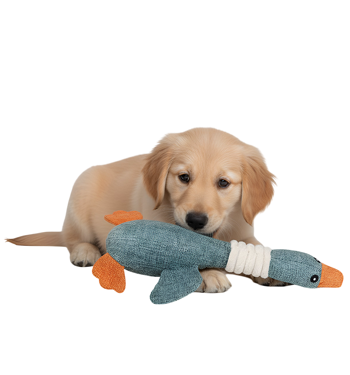 Nola-Dog Duck Toy