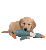 Nola-Dog Duck Toy