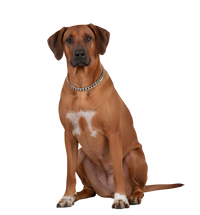 Titan-Steel Link Collar