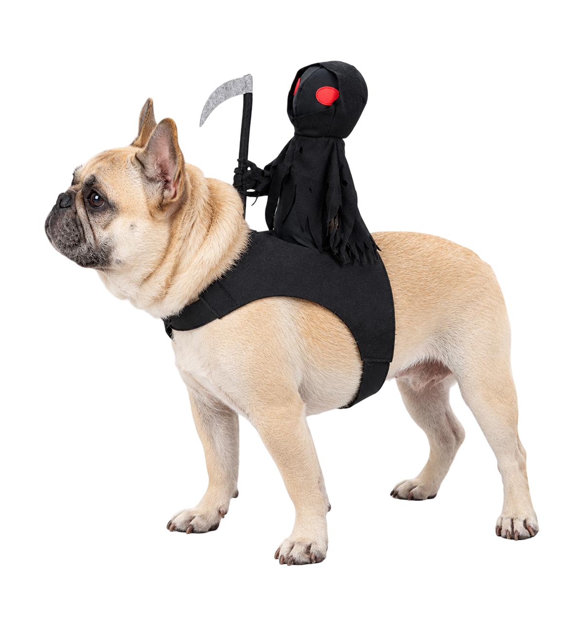 Grim Reaper Pet Costume