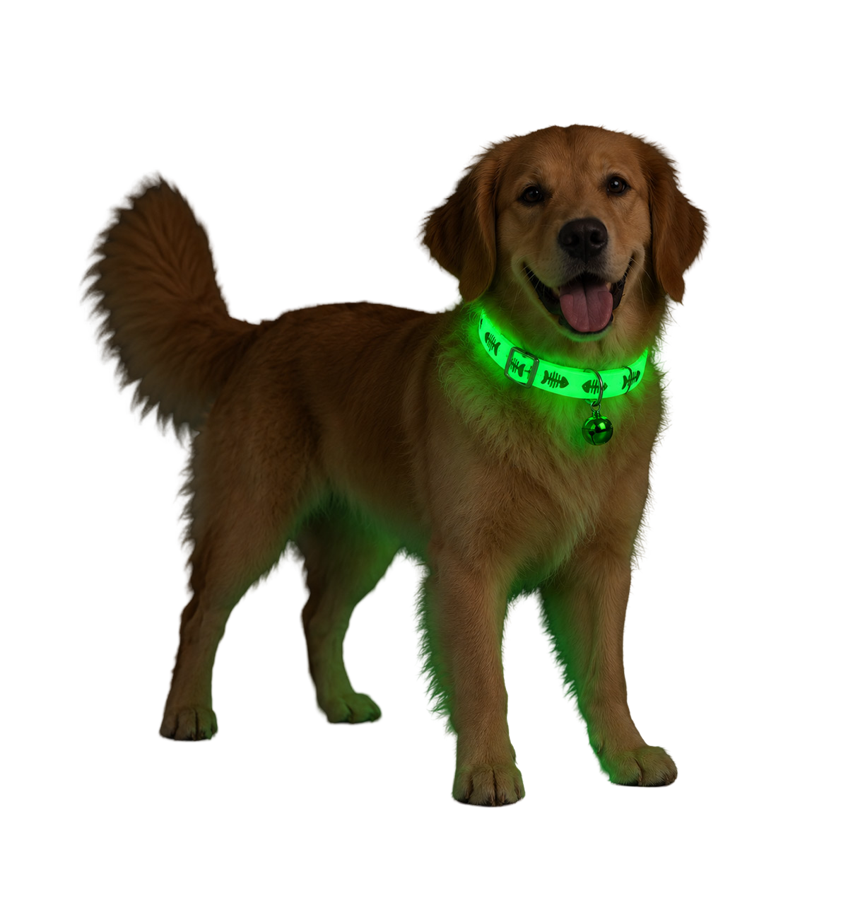 Glow Fish Pet Collar