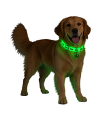 Glow Fish Pet Collar