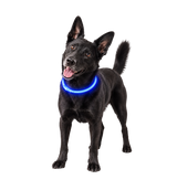 Glow Pet Collar