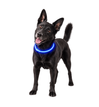 Glow Pet Collar