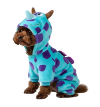 Roxy-Monster Pet Suit