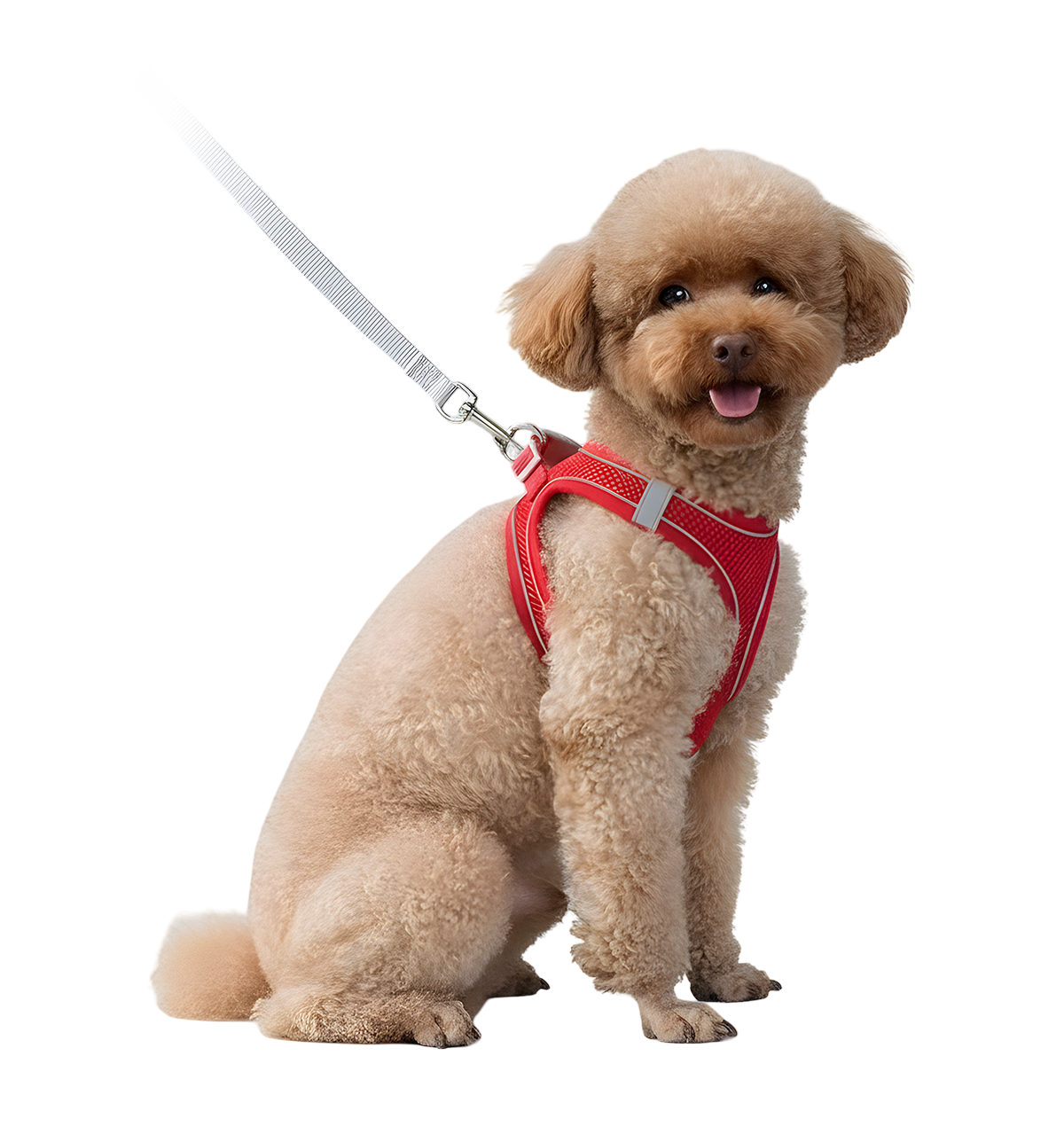 Luna-Comfort Fit Harness