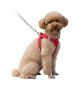 Luna-Comfort Fit Harness