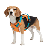 Milo-Active Harness