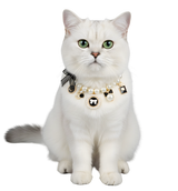 Aria-Pearl Charm Collar