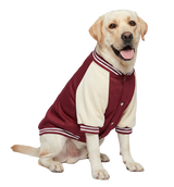 Varsity Pet Jacket