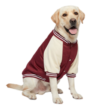 Varsity Pet Jacket