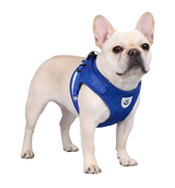 Milo-Breeze Harness