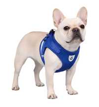 Milo-Breeze Harness