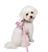 Lani-Pink Bee Harness