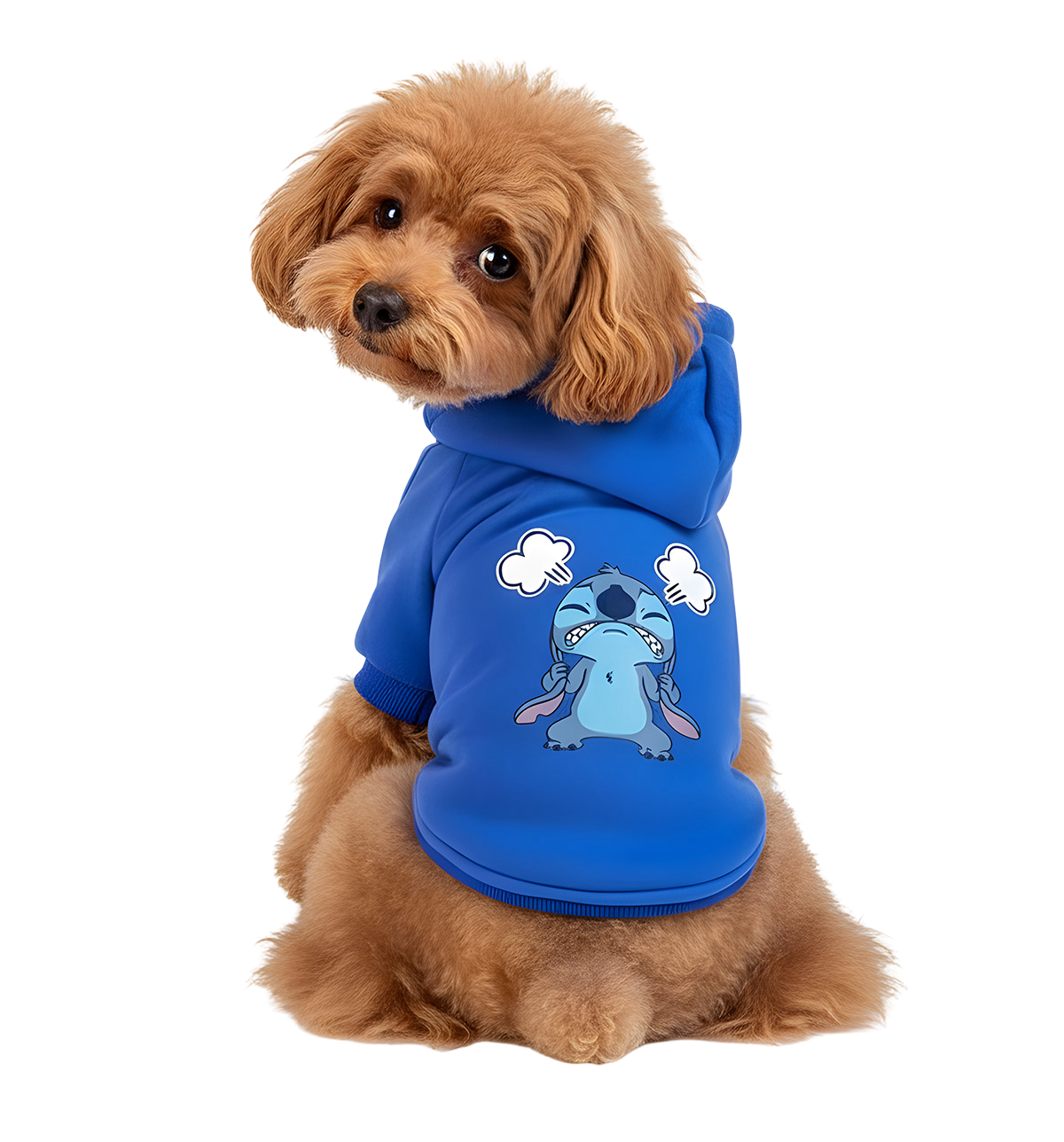 Lilo-Cartoon Pet Hoodie