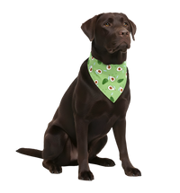 Milo-Fresh Green Scarf