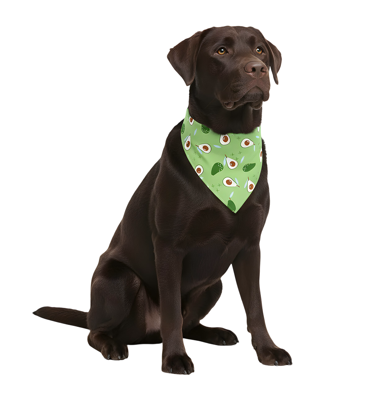 Milo-Fresh Green Scarf