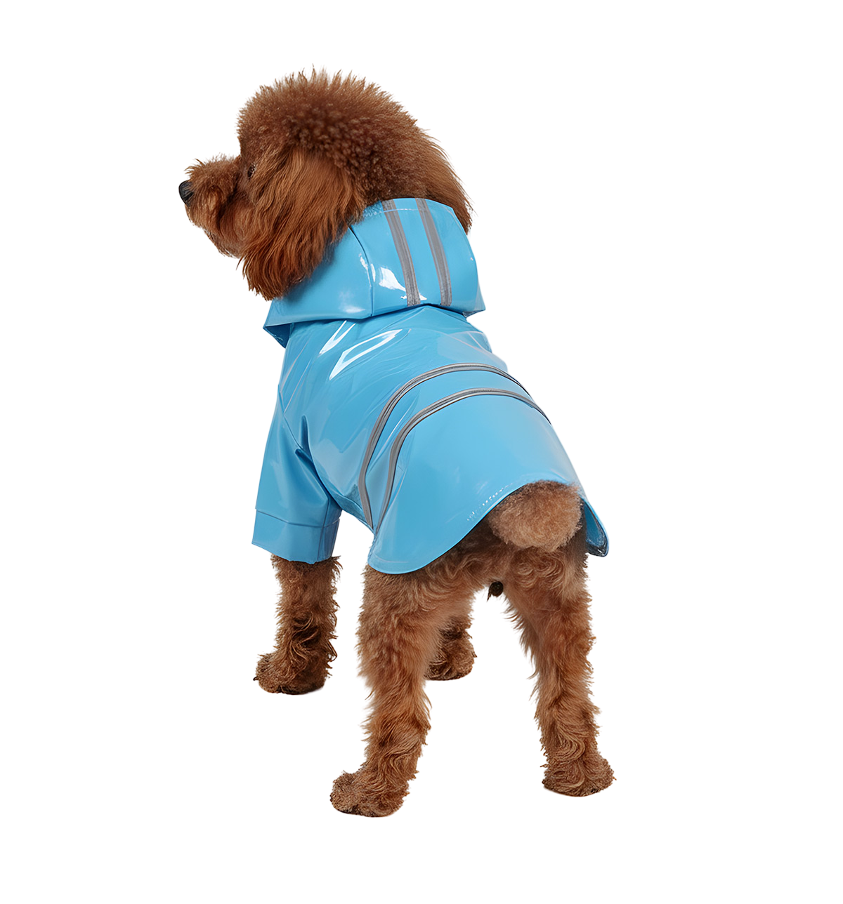 Nina-Rain Pet Jacket