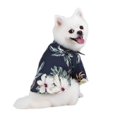Milo-Tropical Pet Shirt