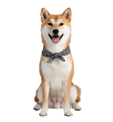 Nori-Classic Pet Scarf