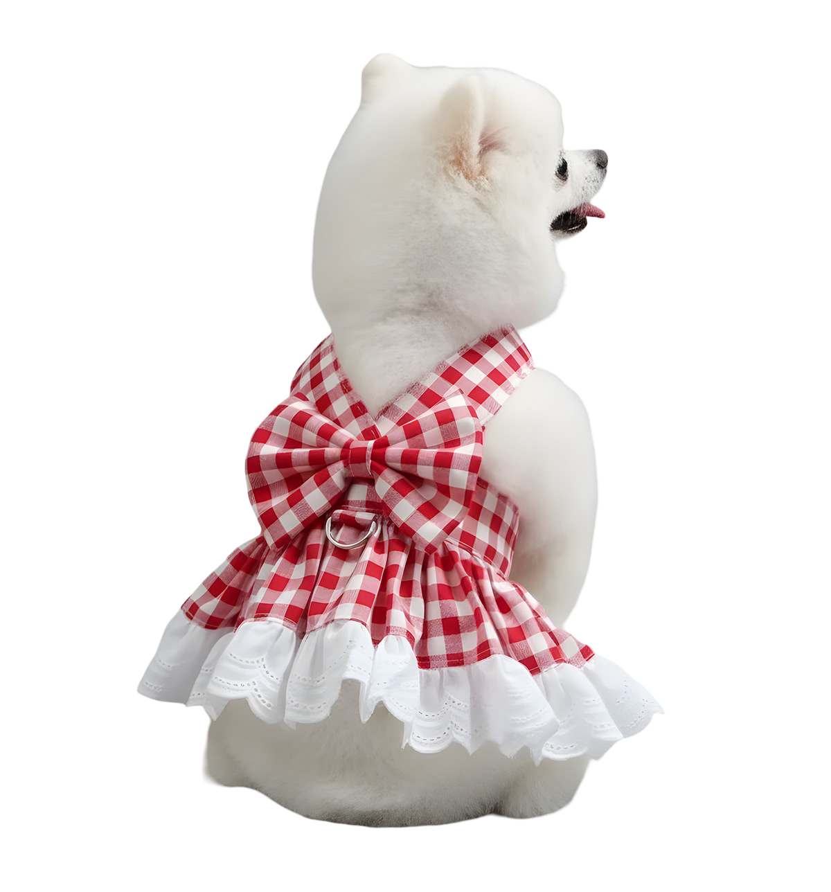 Lina-Gingham Pet Dress