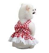 Lina-Gingham Pet Dress